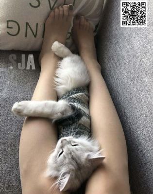 成人A片产无码免费视频奶头麻豆_高清高清在线